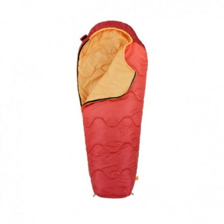 Firefly Outdoor Gear Youth Mummy Sleeping Bag